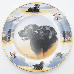Royal Doulton The Sporting Life by Nigel Hemming Labrador Retriever 8" Plate