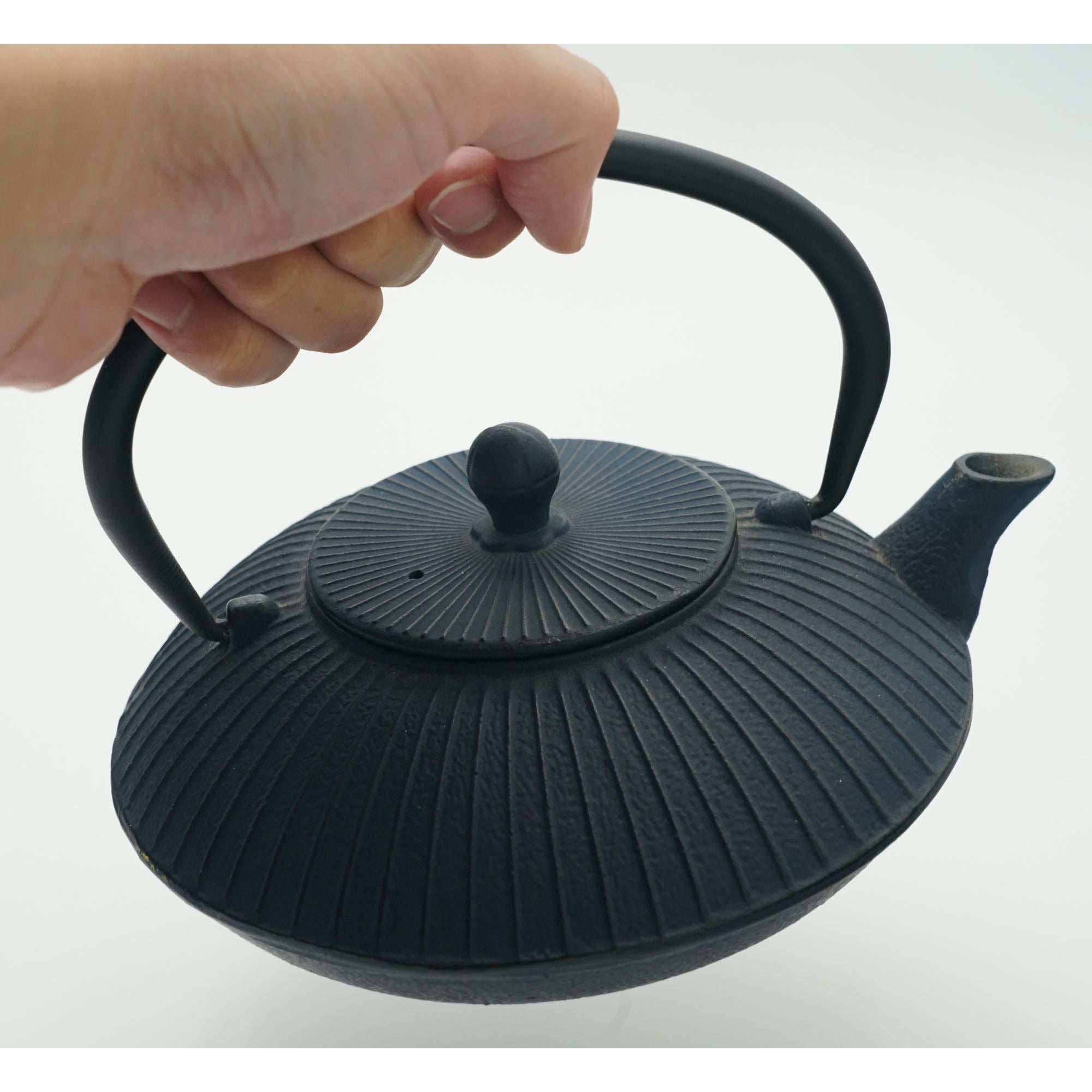 Dark Blue Cast Iron Teapot Porcelain Enamel Coating Inner Surface & Tea Strainer